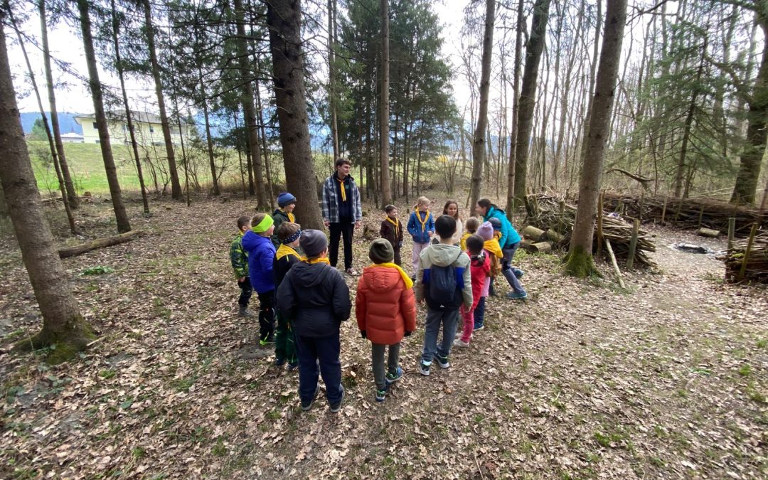 Frühlingserwachen im «Pfadiwald»