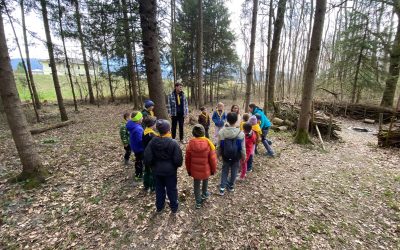 Frühlingserwachen im «Pfadiwald»